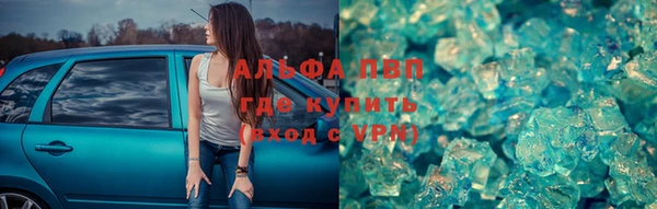 индика Алексин