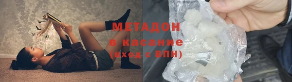 индика Алексин