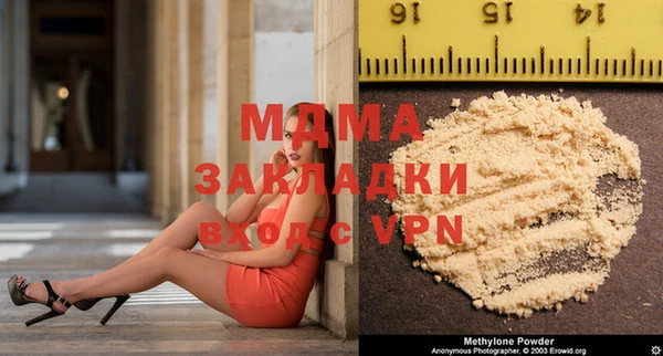 индика Алексин
