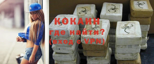 индика Алексин