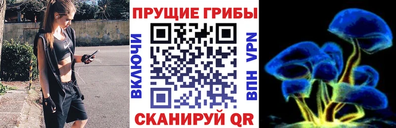 Псилоцибиновые грибы мицелий  Салехард 